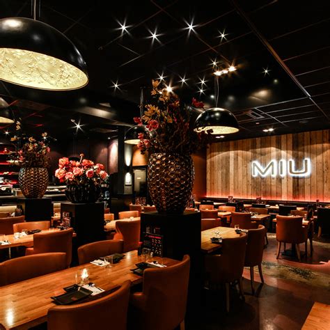 miu amsterdam reviews